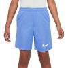 Kids Nike Activewear | Nike Kids Dri-Fit Trophy 23 Gx Shorts Blue