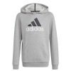 Kids adidas Hoodies & Sweatshirts | Adidas Kids Essentials Big Logo Hoodie Grey