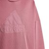 Kids adidas Hoodies & Sweatshirts | Adidas Kids Future Icons Logo Hoodie Pink