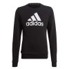 Kids adidas Hoodies & Sweatshirts | Adidas Kids Essentials Big Logo Sweatshirt Black