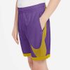 Kids Nike Shorts | Nike Boys Dri-Fit Hbr Basketball Shorts Purple