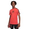 Kids Nike Tees & Tops | Nike Kids Cr7 Academy23 Football Top Red